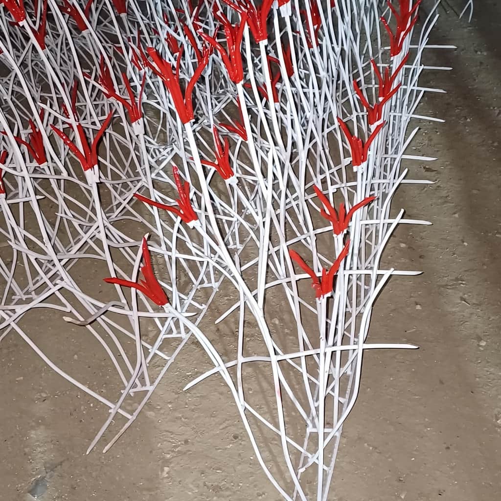حفاظ غنچه ای مقاوم گرمسیری