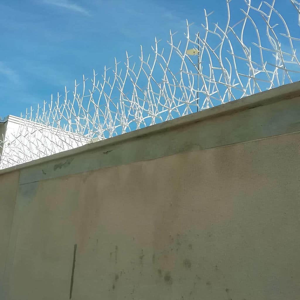 حفاظ دیوار حیاط شاخ گوزنی