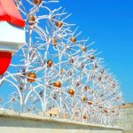 مرکز فروش حفاظ گل آفتابگردان سفارشی مناسب پرهیز از اشتباهات رایج هنگام خرید