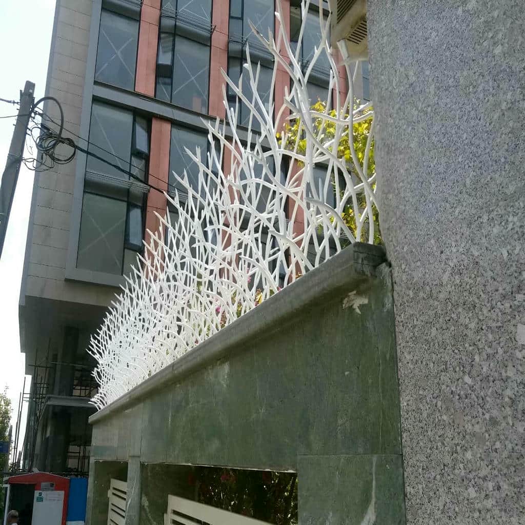 حفاظ دیوار بوته‌ای روی دیوار سیمانی آفتاب‌گیر