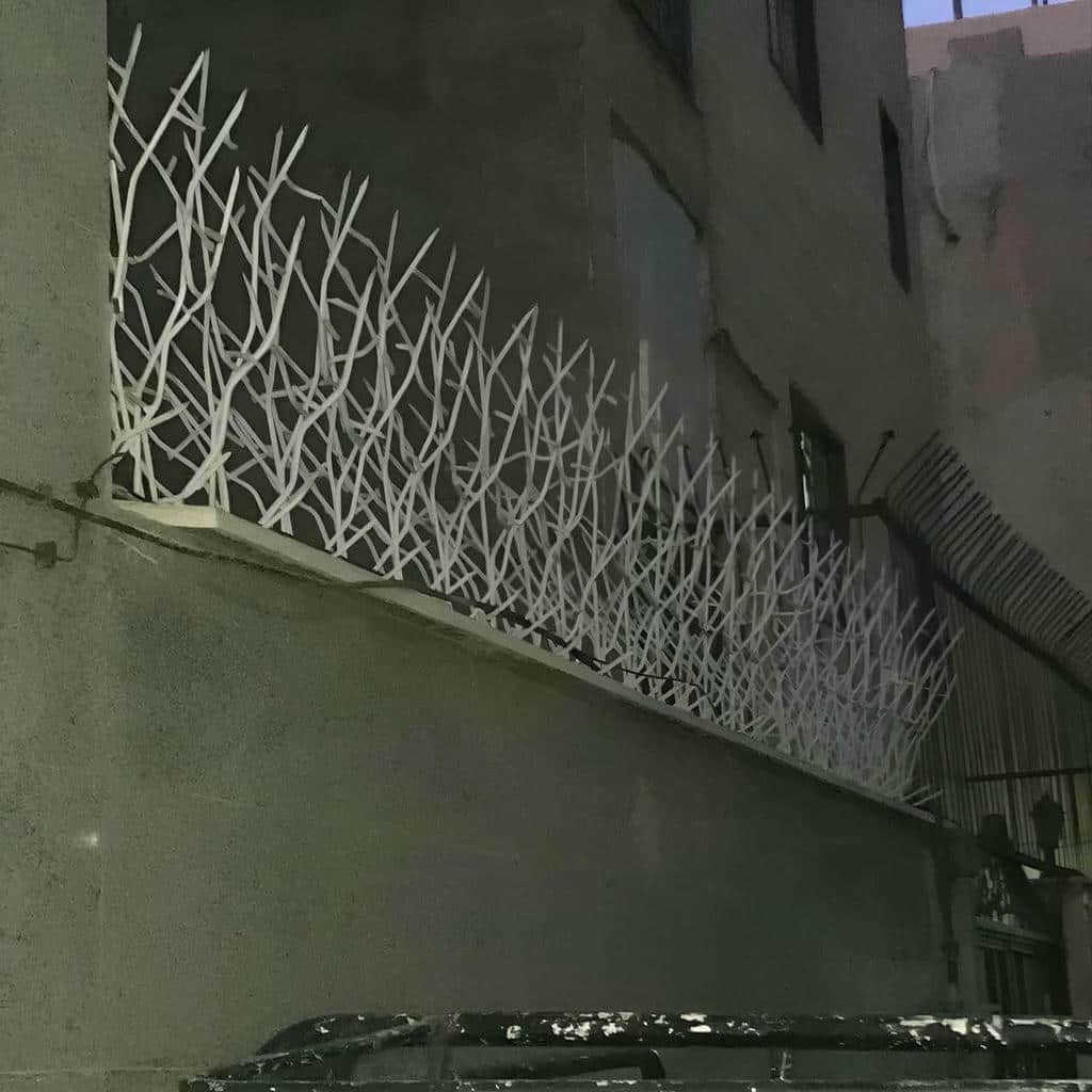 حفاظ دیوار شاخه دار ضلع خدماتی ساختمان