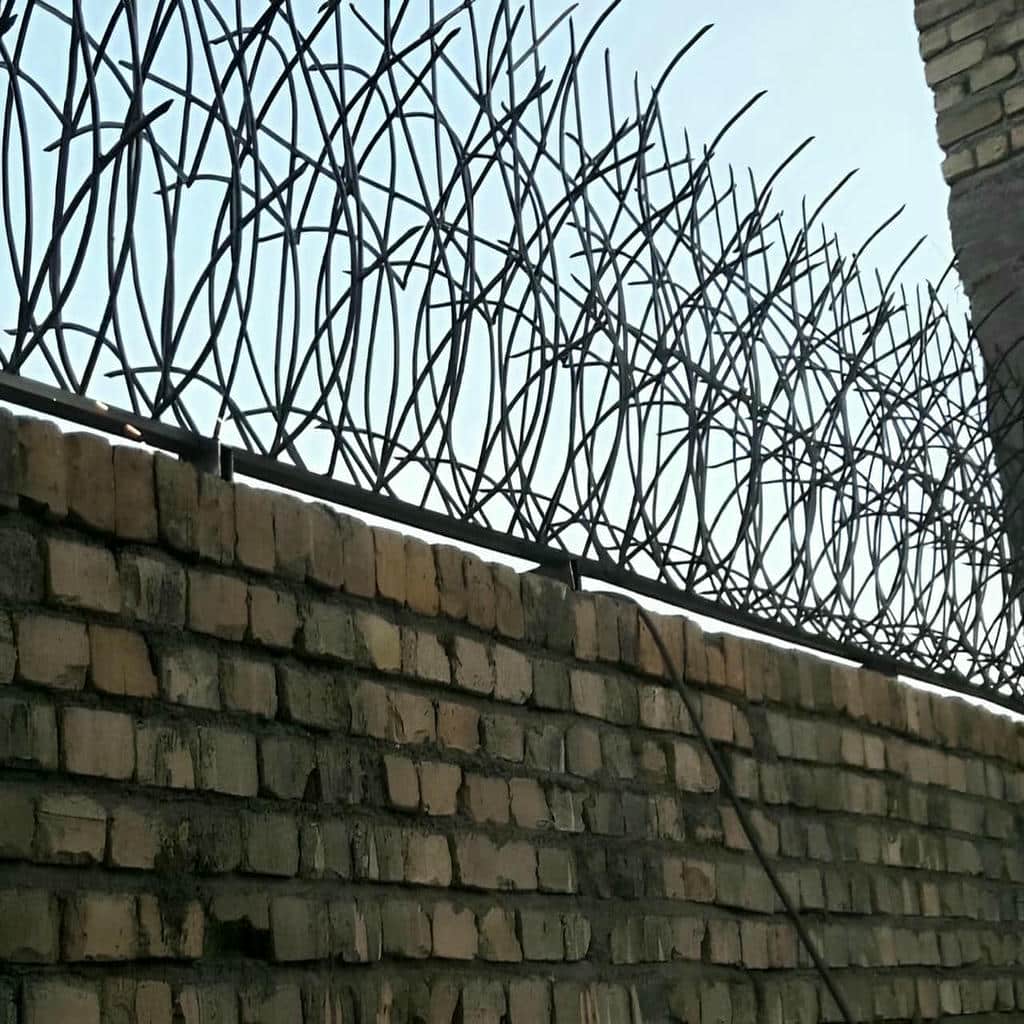 حفاظ دیوار شاخ گوزنی بالای محوطه استان زنجان حفاظ دیوار شاخ گوزنی بالای محوطه استان زنجان